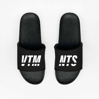 VTM NTS Slides