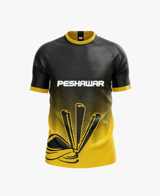 Peshawar League 2024