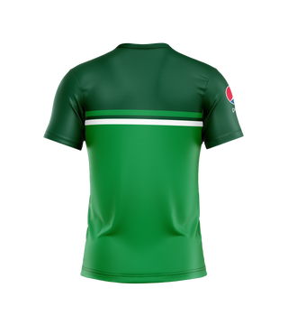 Pakistan Asia Cup Kids All Over Print T-shirt