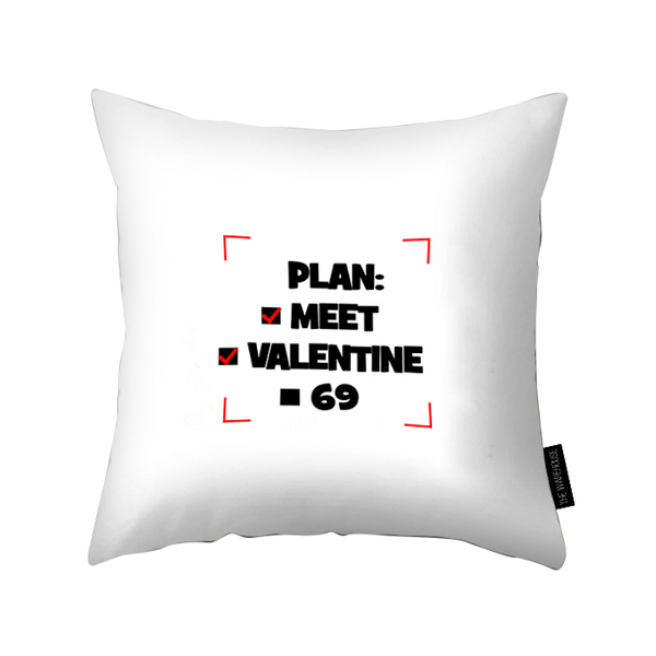 Plan Pillow
